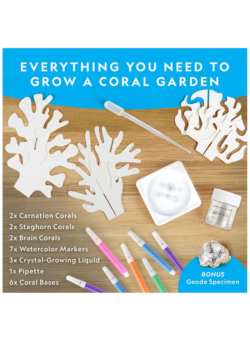 NATIONAL GEOGRAPHIC مختبر نمو المرجان الشعاعي الكريستالي - Image 4