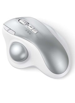 White/Silver