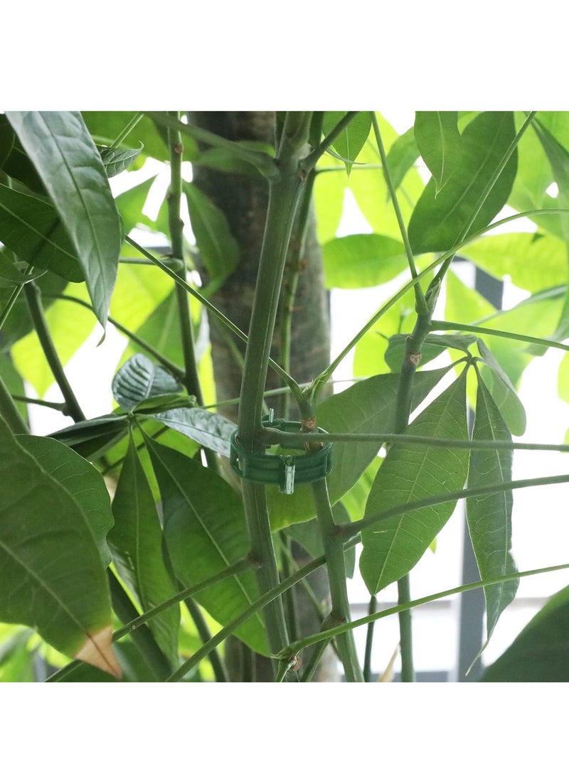 100 Pcs Plant Vine and Flower Stem Support Clips for Fixing Tomatoes Cucumbers Vegetables