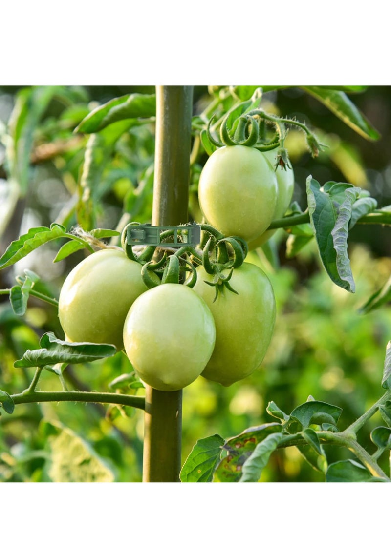100 Pcs Plant Vine and Flower Stem Support Clips for Fixing Tomatoes Cucumbers Vegetables
