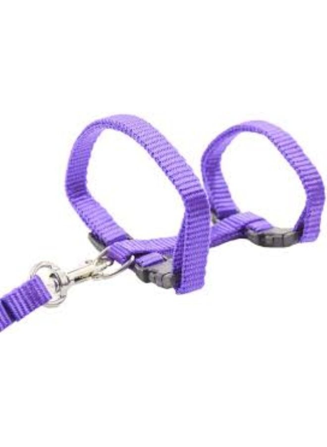 Adjustable Nylon Pet Cat Puppy Harness with Lead Leash Strap Belt Safety Rope - Image 2