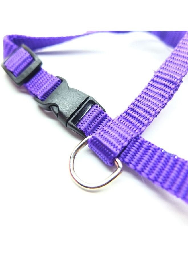 Adjustable Nylon Pet Cat Puppy Harness with Lead Leash Strap Belt Safety Rope - Image 3
