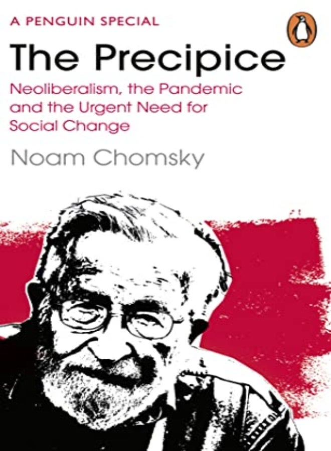 The Precipice: Neoliberalism, the Pandemic and the Urgent Need for Radical Change 