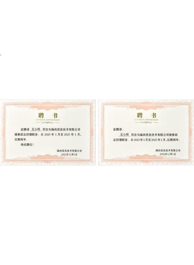 Dsb (Disbi) [10-Pack] 8K Appointment Letter, Appointment Book Cover, Company Employee Award Certificate, Gold-Stamped Classic Style (With 20 Inner Pages) 050819 - Image 2