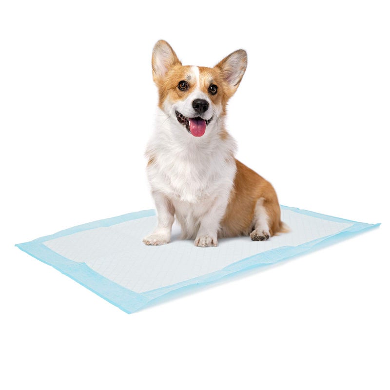 Bolux Dog and Puppy Training Pads 1318 Disposable Dog Pee Pads 100Counts Ultra Absorbent  LeakProof Pet Underpads Dry Quickly Pee Pad for Dog Cats Rabbits or Other House Training Pet