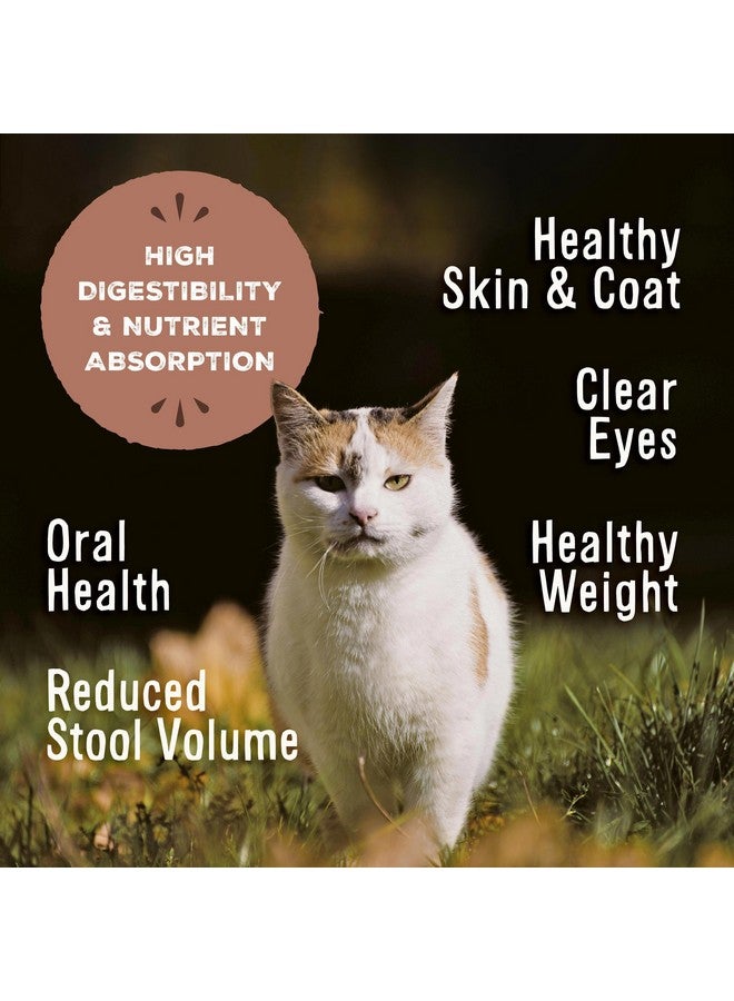 Primal Pet Foods Primal Freeze Dried Raw Cat Food Nuggets Rabbit, Complete & Balanced Meal or Topper, Premium, Healthy, Grain Free, High Protein Raw Cat Food with Probiotics (5.5 oz) - Image 2