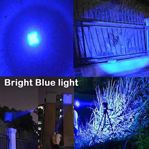 WAYLLSHINE Pack of 3 Single Mode Blue Light Flashlight, Blue LED Flashlight Torch for Night Fishing, Hunting, Observation - Image 3