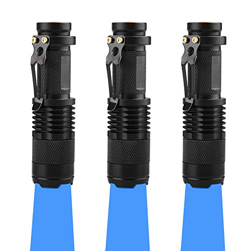 WAYLLSHINE Pack of 3 Single Mode Blue Light Flashlight, Blue LED Flashlight Torch for Night Fishing, Hunting, Observation - Image 1