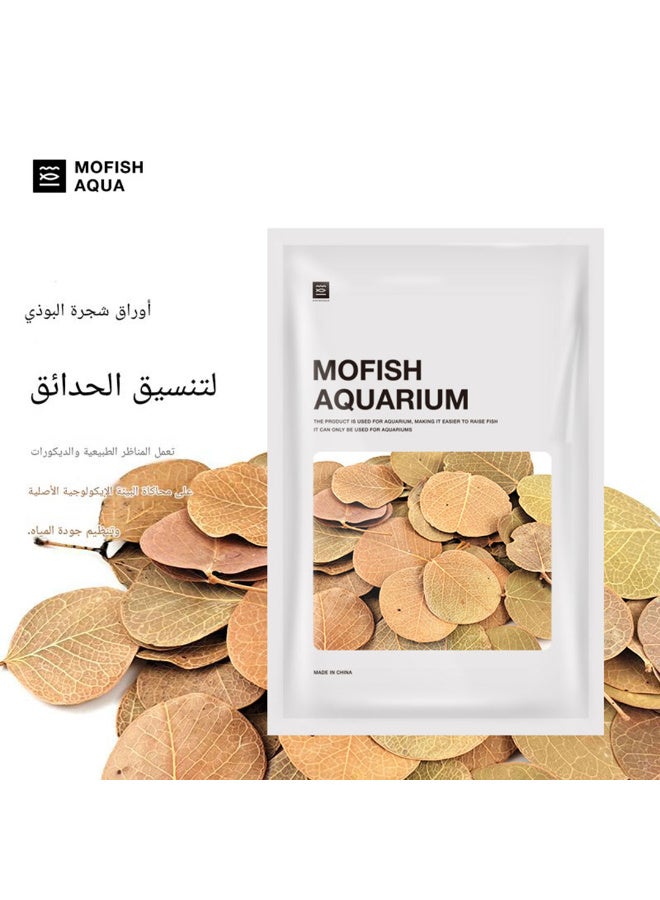 اوراق طبيعية لاحواض اسماك الزينة و التيراريوم - Image 1