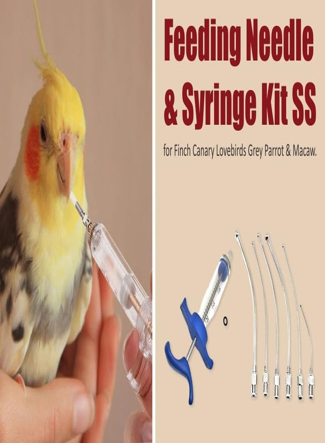 Agarwals Feeding Needle & Syringe Kit SS for Finch Canary Lovebirds Grey Parrot & Macaw. - Image 3