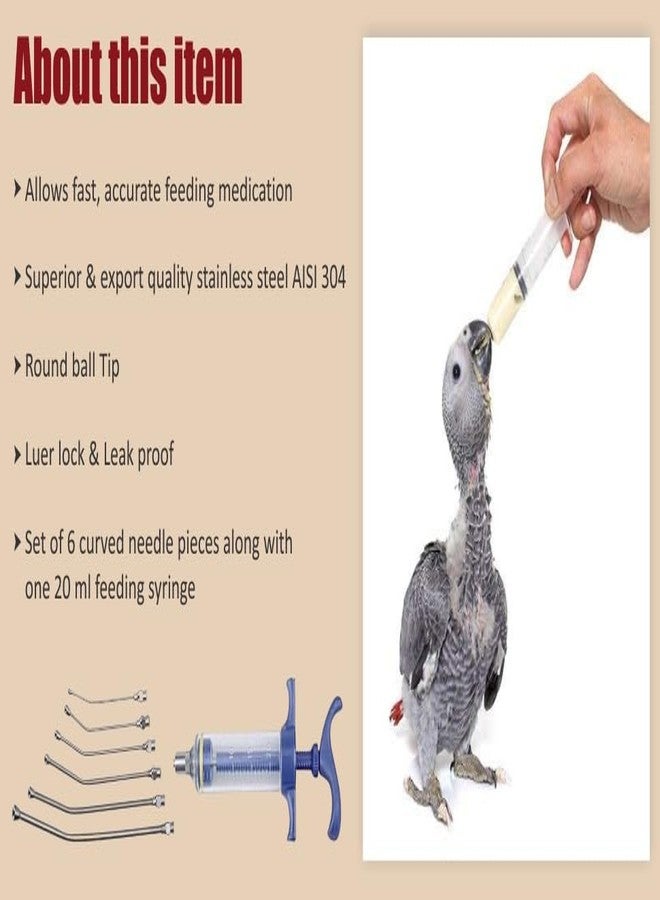 Agarwals Feeding Needle & Syringe Kit SS for Finch Canary Lovebirds Grey Parrot & Macaw. - Image 5