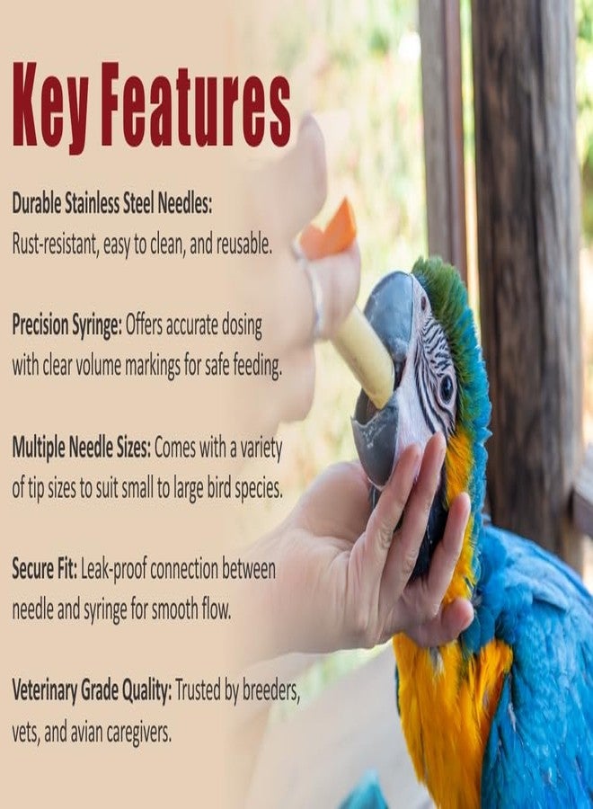 Agarwals Feeding Needle & Syringe Kit SS for Finch Canary Lovebirds Grey Parrot & Macaw. - Image 4