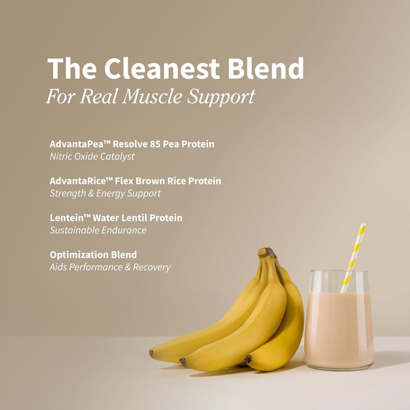 Snap Supplements Organic Plant Based Vegan Protein Powder Nitric Oxide Boosting Protein Powder BCAA Amino Acid for Muscle Growth Performance  Recovery  30 Servings Banana - Image 3