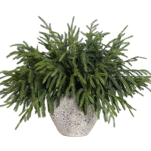 YXZZWL 32 Pcs Christmas Norfolk Pine Branches 18 Inch Soft Textured Artificial Norfolk Pine Branch Faux Cedar Pine Stem Fake Greenery Picks for Vase DIY Garland Wreath Home Decoration - Image 1