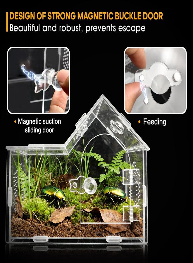 GTSEEMUU Acrylic Jumping Spider Enclosure with Magnetic Lock - Clear Ventilated Terrarium Box for Tarantulas, Geckos, Mantises, Hermit Crabs, Snails, and Other Small Pets (7.9 x 4 x 6 Inch) - Image 4