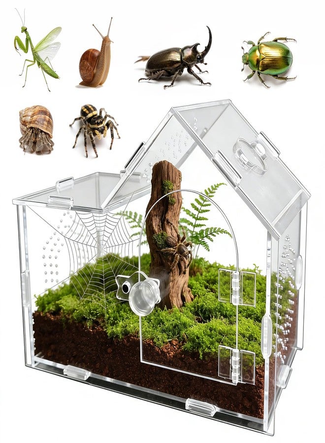 GTSEEMUU Acrylic Jumping Spider Enclosure with Magnetic Lock - Clear Ventilated Terrarium Box for Tarantulas, Geckos, Mantises, Hermit Crabs, Snails, and Other Small Pets (7.9 x 4 x 6 Inch) - Image 1