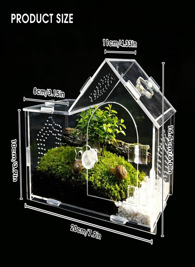 GTSEEMUU Acrylic Jumping Spider Enclosure with Magnetic Lock - Clear Ventilated Terrarium Box for Tarantulas, Geckos, Mantises, Hermit Crabs, Snails, and Other Small Pets (7.9 x 4 x 6 Inch) - Image 5