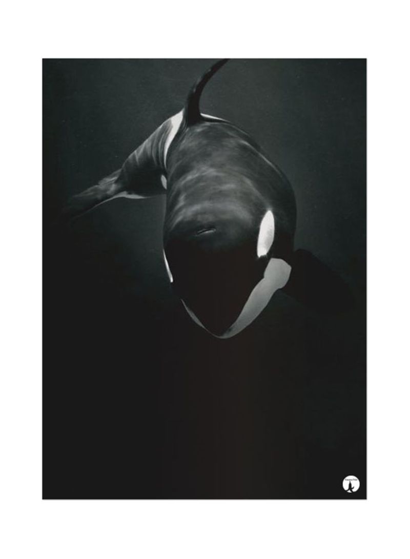 RKN The Killer Whale Mouse Pad Black/Grey
