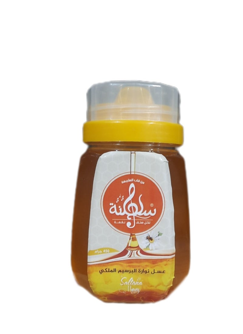 Saltana Honey 450g 