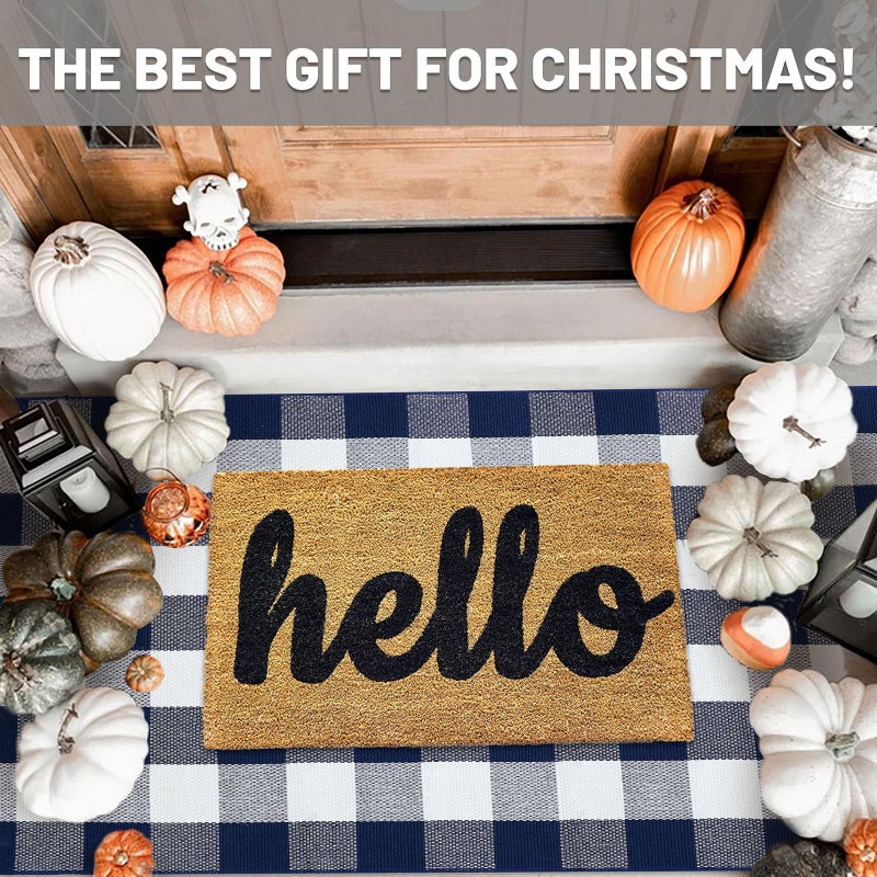 IOHOUZE Buffalo Plaid Checkered Rug 3x5 Ft Front Door Mats, Washable Area Rugs for Front Porch Decor, Spring Summer Welcome Mats Outdoor, Navy White Rug for Farmhouse/Entryway/Home Entrance - Image 2
