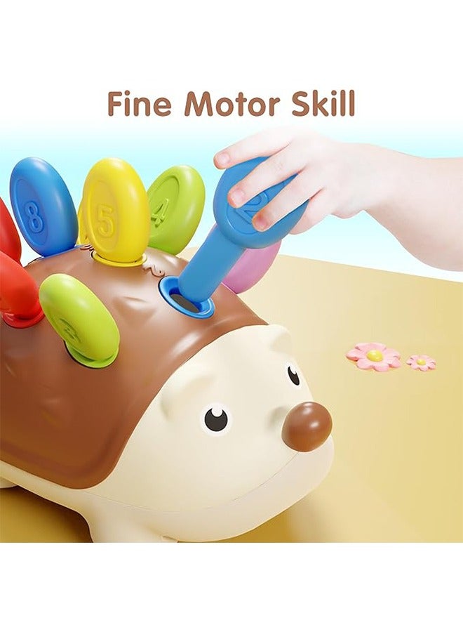 1-3 years old toddler fine motor toys, hedgehog Montessori learning set, educational counting sorting toys, Toddler Learning Toys，developmental baby Fine Motor and Sensory Toys gifts 9 12 18 months and 1 2 3 year old boys, girls, children, babies  - Image 2