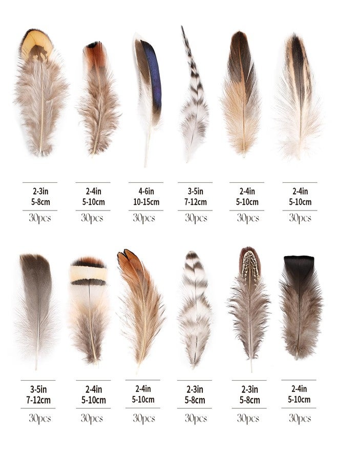 whitefeather Natural Feathers Bulk -360PCS - 12 Styles Assorted Small Natural Feathers, Peacock Feathers, Pheasant Feathers, Turkey Feathers for DIY Crafts, Wedding, Crafting Supplies - Image 2