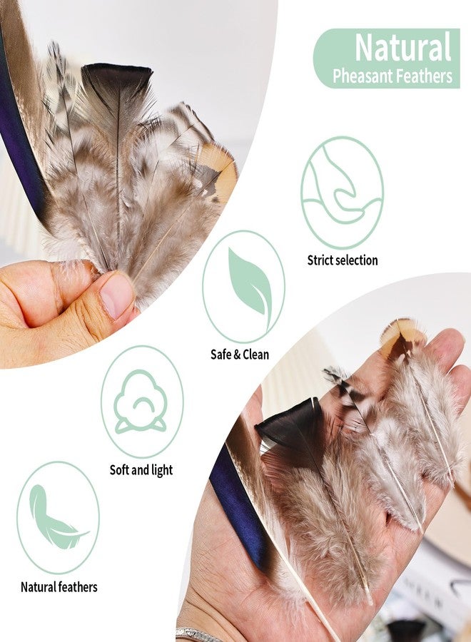 whitefeather Natural Feathers Bulk -360PCS - 12 Styles Assorted Small Natural Feathers, Peacock Feathers, Pheasant Feathers, Turkey Feathers for DIY Crafts, Wedding, Crafting Supplies - Image 5