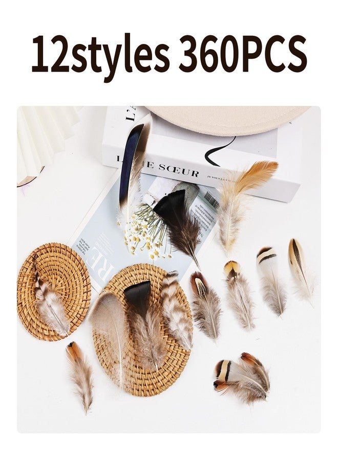 whitefeather Natural Feathers Bulk -360PCS - 12 Styles Assorted Small Natural Feathers, Peacock Feathers, Pheasant Feathers, Turkey Feathers for DIY Crafts, Wedding, Crafting Supplies - Image 3