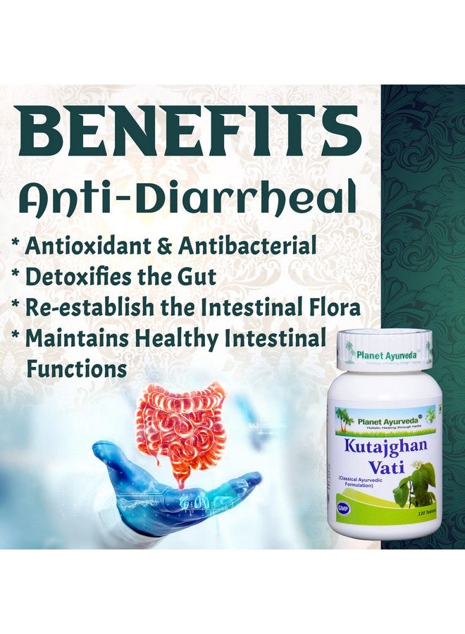 planet ayurveda كوتاجغان فاتي من بلانيت أيويرفيدا، 120 قرص، عبوة من 1 - Image 2