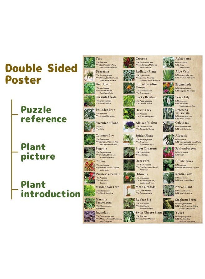 BBOLDIN Vintage Houseplant Puzzle 1000 Pieces for Adult, Botany Succulent House Plant Puzzle, 39 Common Indoor Plants Jigsaw Puzzles as Plant Gifts（HD） - Image 2