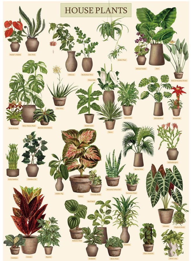 BBOLDIN Vintage Houseplant Puzzle 1000 Pieces for Adult, Botany Succulent House Plant Puzzle, 39 Common Indoor Plants Jigsaw Puzzles as Plant Gifts（HD） - Image 1