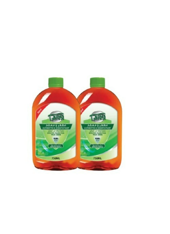 TANYOO Antiseptic & Disinfectant Effective Protections from Germs 750 ml 2 packs 