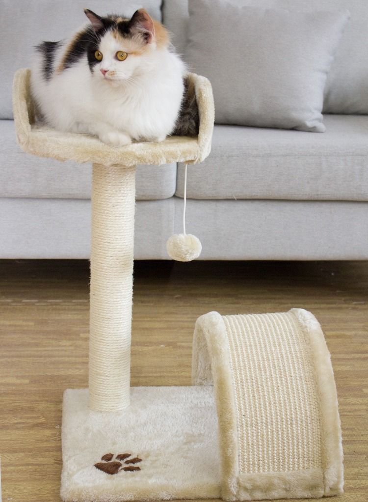 Arabest عمود خدش كات فيتوريا من السيزال مع منصة قطيفة - Image 1