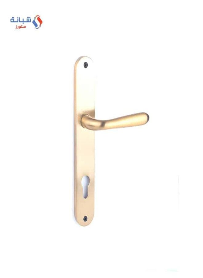 AHRAM Door handle Set Sicuro Belle – Golden Matt – FH1561P01CG201  - Image 1