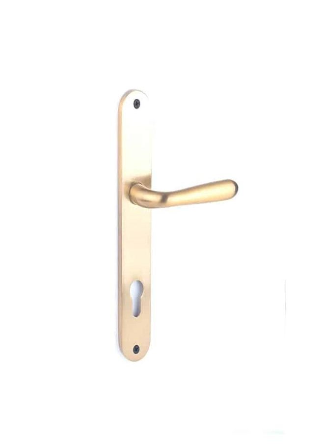 AHRAM Door handle Set Sicuro Belle – Golden Matt – FH1561P01CG201  - Image 2