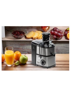 Arshia Arshia Basic Electric Juicer, 800 Watts, 2 Speeds, XL Feed Tube, Stainless Steel JE133-2547  - Image 2