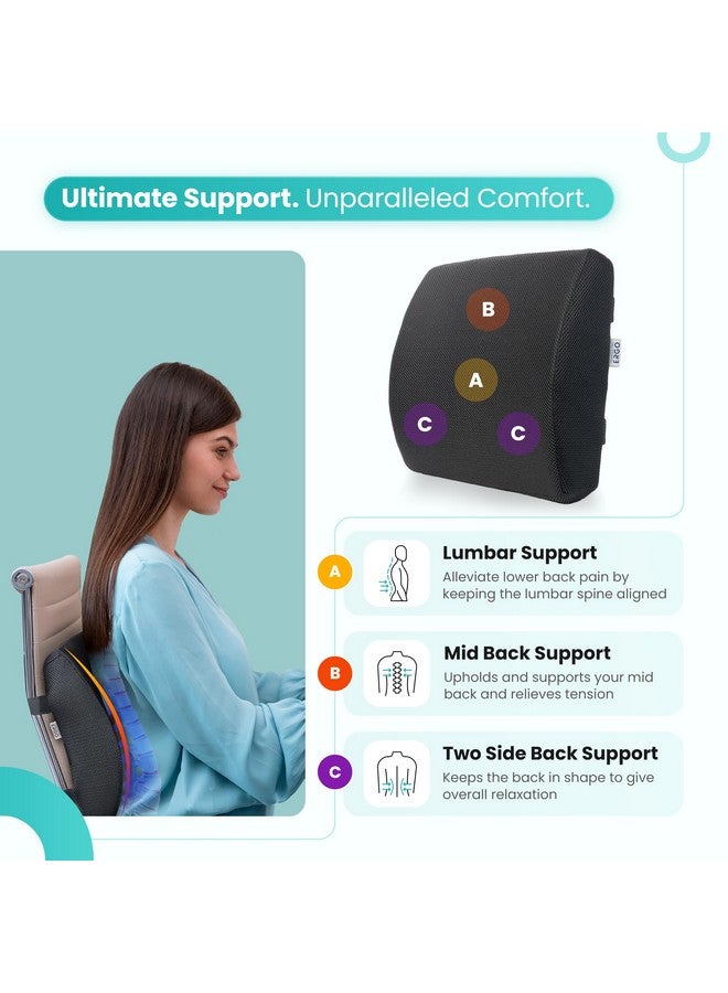 UltraCare PRO دعم أسفل الظهر UltraCare PRO Ergo لجميع أنواع الكراسي - رغوة الذاكرة المتقدمة لدعم الظهر - دعم أسفل الظهر العظمي - تخفيف آلام الظهر - أحزمة قابلة للتعديل - شبكة هوائية قابلة للتنفس - Image 2