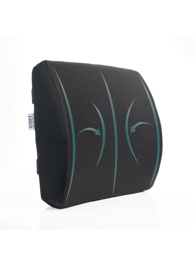 UltraCare PRO دعم أسفل الظهر UltraCare PRO Ergo لجميع أنواع الكراسي - رغوة الذاكرة المتقدمة لدعم الظهر - دعم أسفل الظهر العظمي - تخفيف آلام الظهر - أحزمة قابلة للتعديل - شبكة هوائية قابلة للتنفس - Image 1