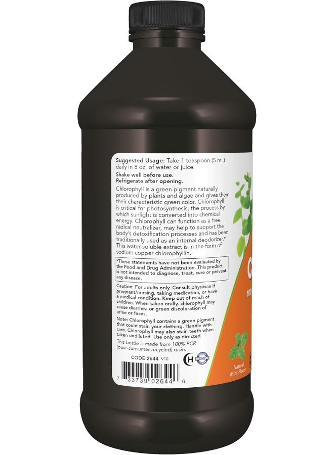 Now Foods Chlorophyll liquid Mint Flavour 473ml - Image 3