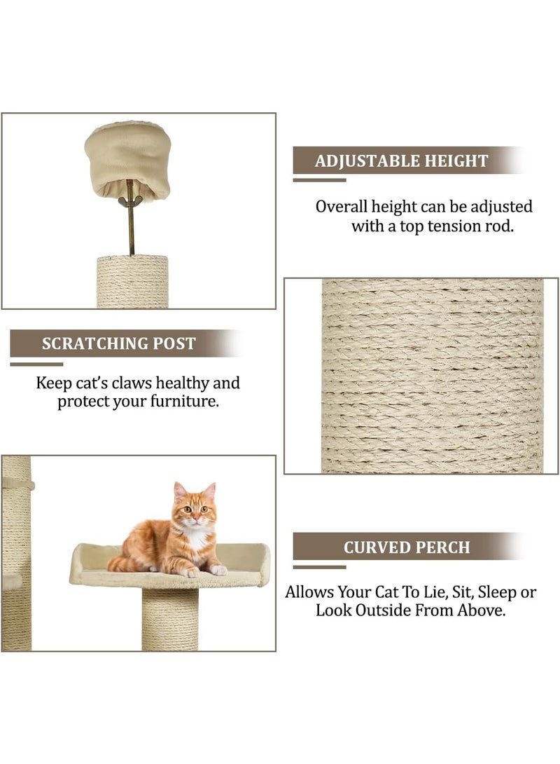 أن ان سي بيتس برج للقطط - بيت شجرة مع عمود خدش | أرجوحة مزدوجة | نفق للقطط | مجثم منحني ومكان مخصص للقطط | شجرة قطط من الأرض إلى السقف للقطط الكبيرة - للاستخدام الداخلي والخارجي - ٢٥٠ سم (بيج) - Image 3