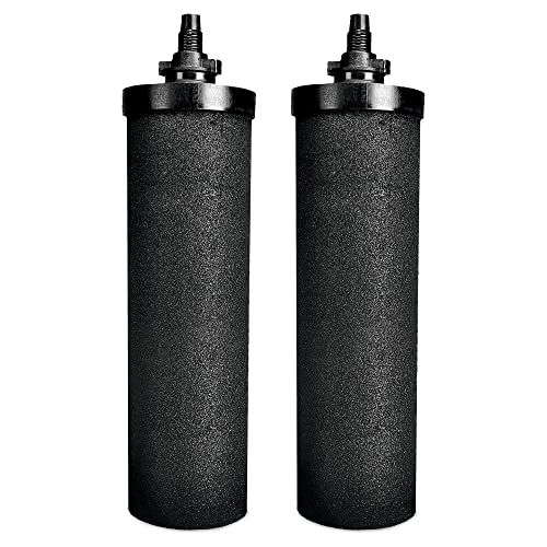RAMA Carbon 8-inch Ultra-Fast Water Filter Candle (Pack of 2) – High-Efficiency Water Purifier Candle for Home | Clean & Safe Drinking Water with Ultra Fast Filtration - Image 1