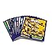 Junior Learning Science Decodables Phase 3 NonFiction Multicolor onse Size - Image 4