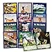 Junior Learning Science Decodables Phase 3 NonFiction Multicolor onse Size - Image 2