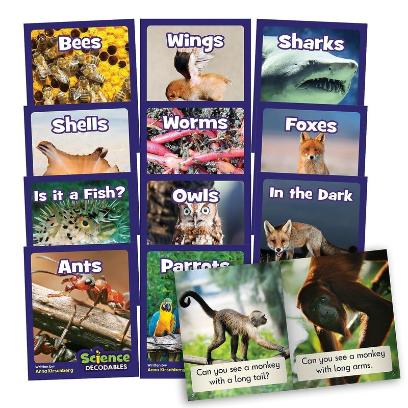 Junior Learning Science Decodables Phase 3 NonFiction Multicolor onse Size - Image 3