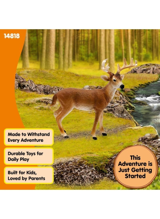 Schleich Wild Life White-Tailed Buck 14818 - Image 2