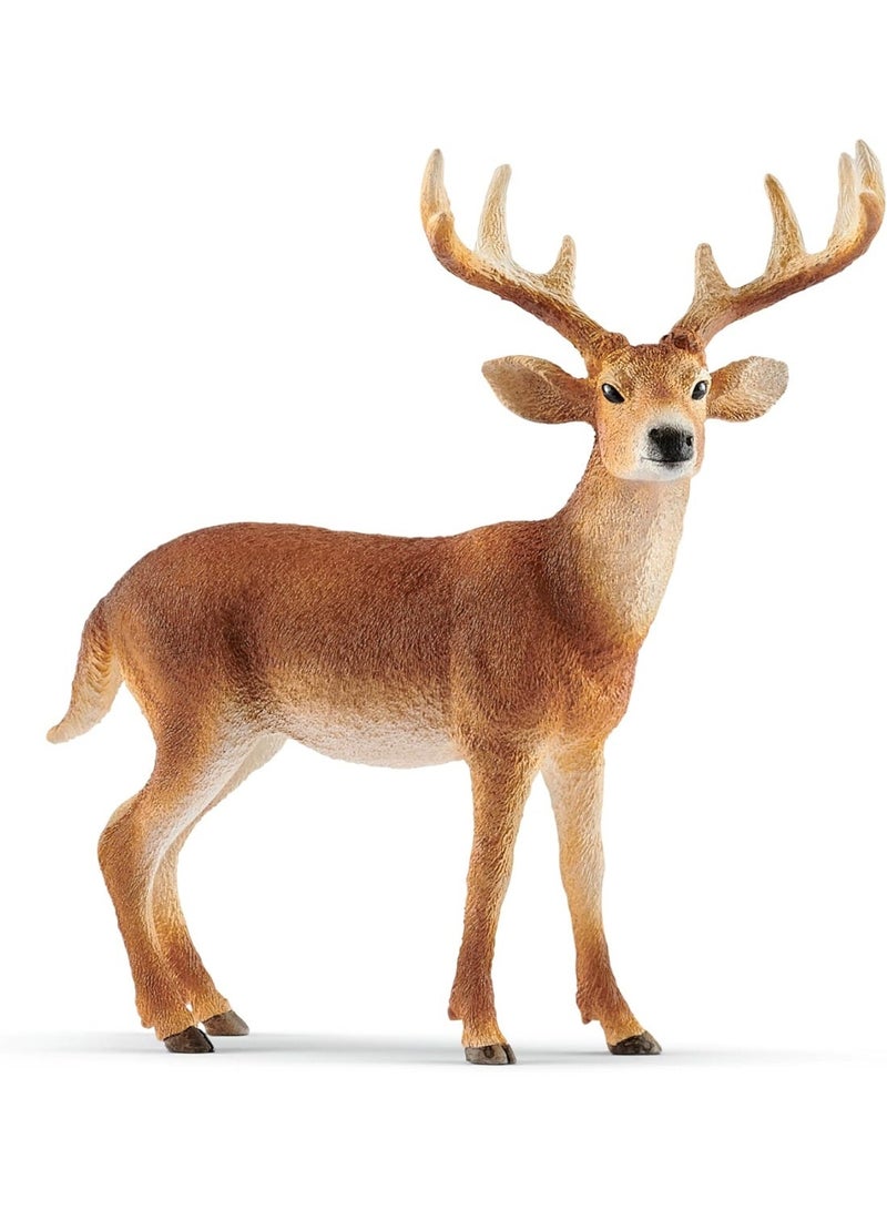Schleich Wild Life White-Tailed Buck 14818 - Image 4
