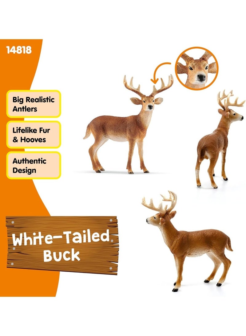 Schleich Wild Life White-Tailed Buck 14818 - Image 5