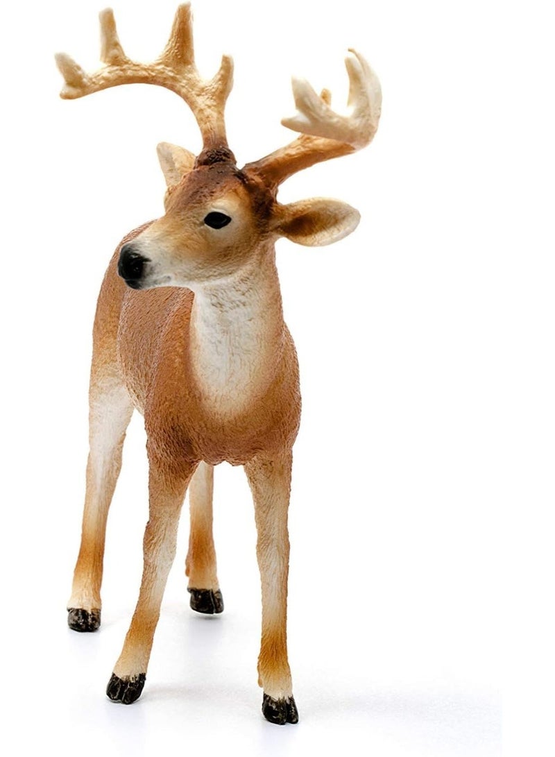 Schleich Wild Life White-Tailed Buck 14818 - Image 1