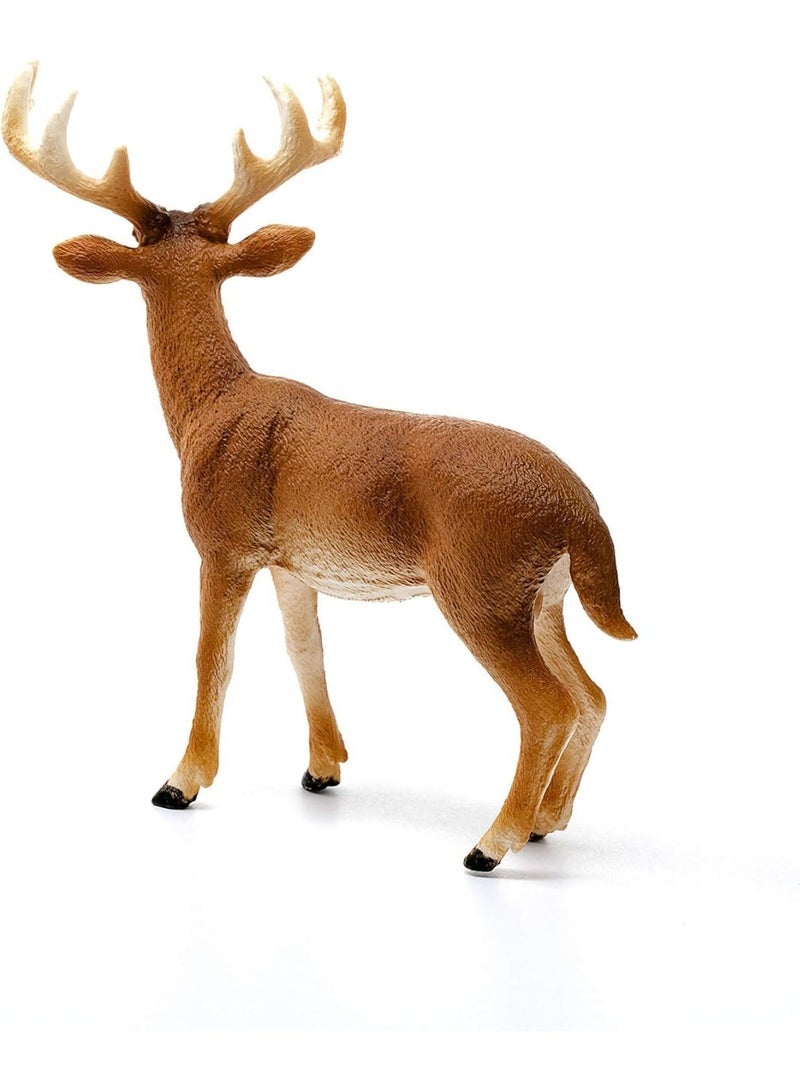 Schleich Wild Life White-Tailed Buck 14818 - Image 3