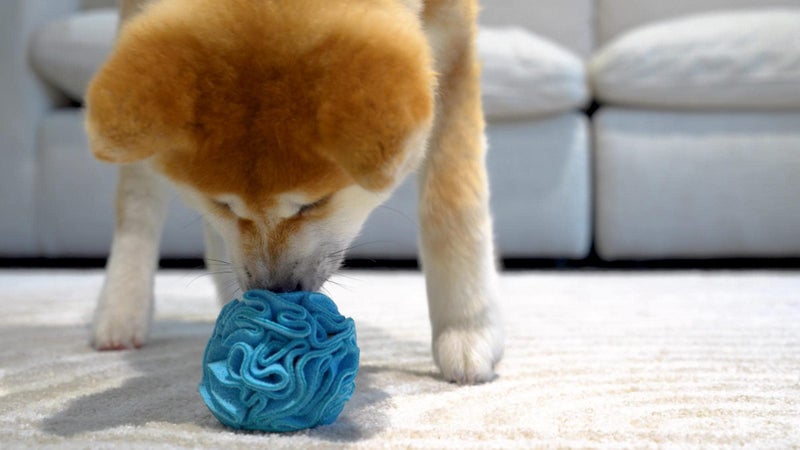 Glory To Dog Puppy and Small Breed Snuffle Interactive Foraging Dog Puzzle Ball Toy Blue - Image 5